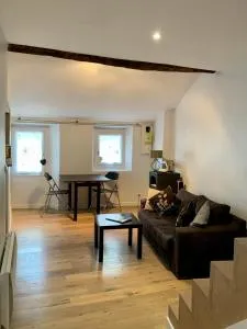 Le Grenier - 罗亚河畔布雷伊