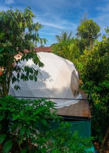 Birds eye Estate, glamping domes