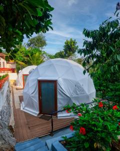 Birds eye Estate, glamping domes