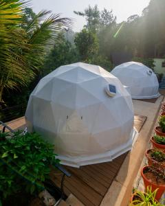Birds eye Estate, glamping domes