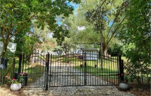 Pet Friendly Apartment