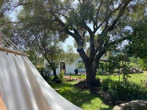 Sa Istera Sardegna img20