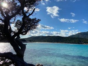 Sa Istera Sardegna img24