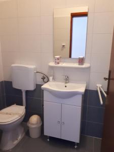 Apartments with WiFi Fazana - 12862