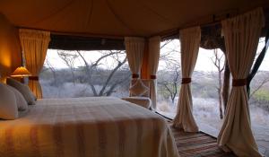 Elewana Lewa Safari Camp