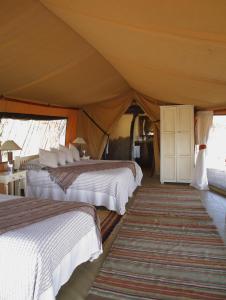 Elewana Lewa Safari Camp