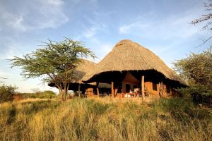 Elewana Lewa Safari Camp