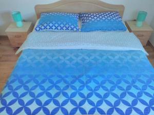 Apartments with a parking space Tribunj, Vodice - 13319