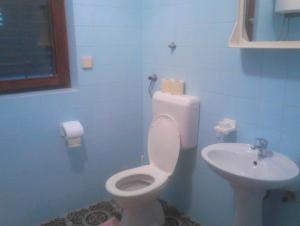 Apartments with parking space Zadar - Diklo, Zadar - 13327