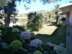 Appartamenti Il Giardino img32
