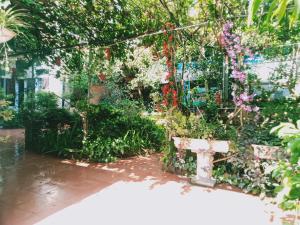 Phi Hungs Unique Homestay