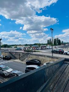 Appartements Splendid apartment at the foot of the castle of Amboise - View of the Loir : photos des chambres