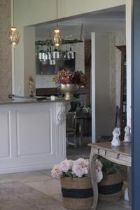 d Olive Rose Boutique Hotel Danielskuil