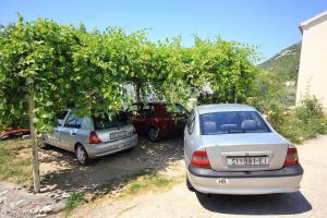 Seaside apartments with a swimming pool Viganj, Peljesac - 260