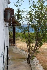 Secluded fishermans cottage Cove Zuborovica, Pasman - 322