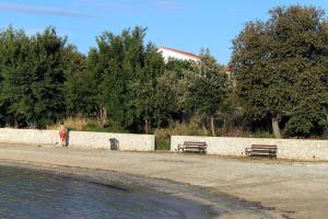 Family friendly seaside apartments Zaton, Zadar - 298 