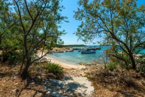 Secluded fishermans cottage Cove Zuborovica, Pasman - 321