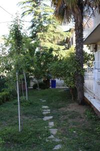 Apartment Biograd na Moru 366a