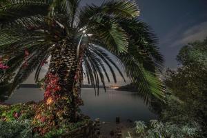 Secluded fishermans cottage Lavdara, Dugi otok - 398