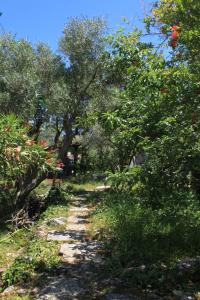 Apartment Valun 386a