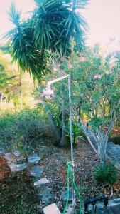 Apartments by the sea Brna - Vinacac, Korcula - 13344