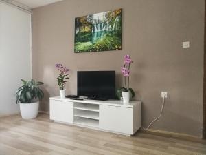Apartment Smoljanac 14979b