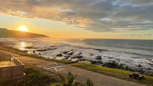 Sea Shell - Haga-Haga