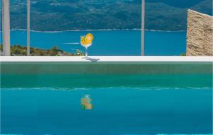 Pet Friendly Apartment In Dubravica