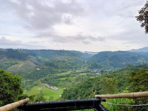 Hakuna Matata Glamping timon