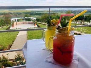 Merlot Borhotel és Látványpince