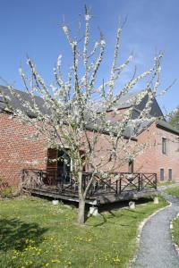 Maisons de vacances Gites du Grand Bois : photos des chambres