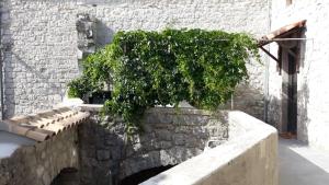 Maisons de vacances Magnifique maison en coeur de Balazuc, proche plages ardeche : photos des chambres