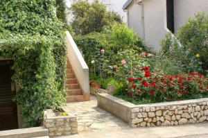 Apartment Mandre 523b