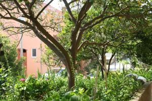 Apartment Podgora 518b