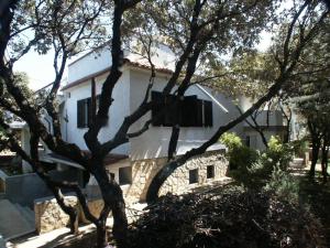 Apartments with a parking space Mandre, Pag - 524 