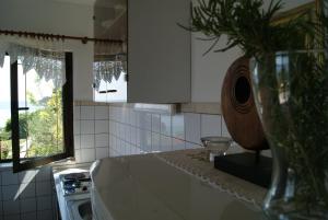 Apartments by the sea Zavala, Hvar - 553