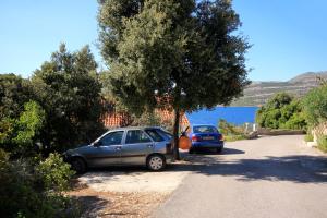 Seaside apartments with a swimming pool Tri Zala, Korcula - 558