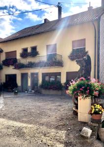 Appartements gite de montagne au pied du Champ du Feu (Alsace) : photos des chambres