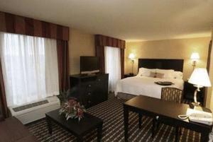 King Studio - Non-Smoking room in Hampton Inn & Suites Las Cruces I-25