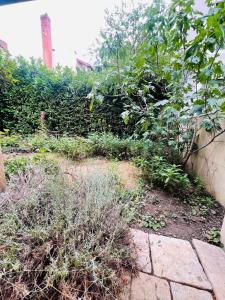 Le Jardin croix Roussien