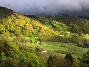 Maison montagnarde rénovée avec cheminée et randonnées - FR-1-589-281