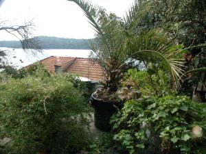 Apartments by the sea Babine Kuce, Mljet - 610