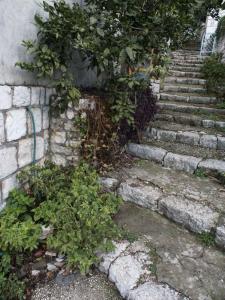 Apartments by the sea Babine Kuce, Mljet - 611