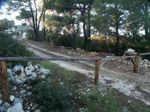 Apartments by the sea Pomena, Mljet - 614