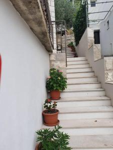 Apartments by the sea Prozurska Luka, Mljet - 618 