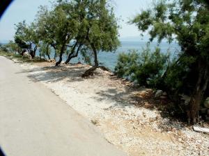 Apartments by the sea Sucuraj, Hvar - 578