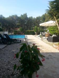 Family friendly apartments with a swimming pool Stari Grad, Hvar - 583