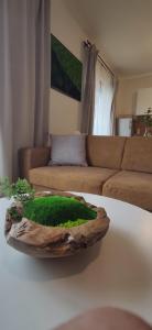 Na Kubínke, Hillside