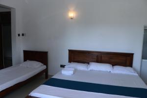 Southern Entry Dickwella