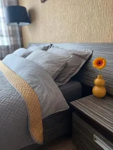 Cozy one bedroom apartment in the city center - Mažeikiai